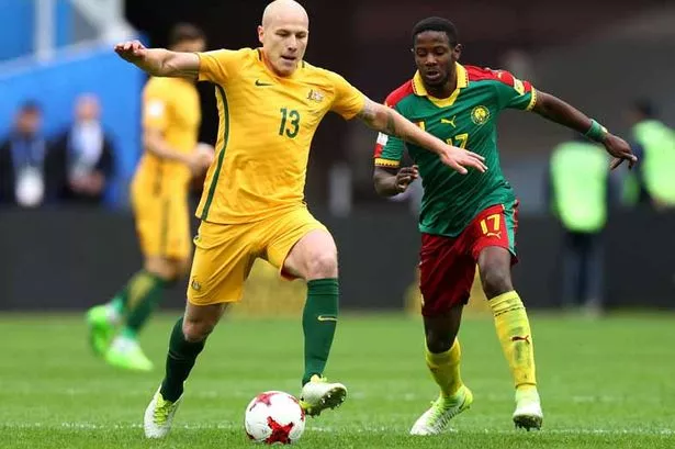 Image result for aaron mooy australia