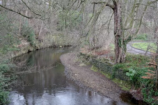 Police say "still no trace" one week after suspected burglar disappeared into River Holme