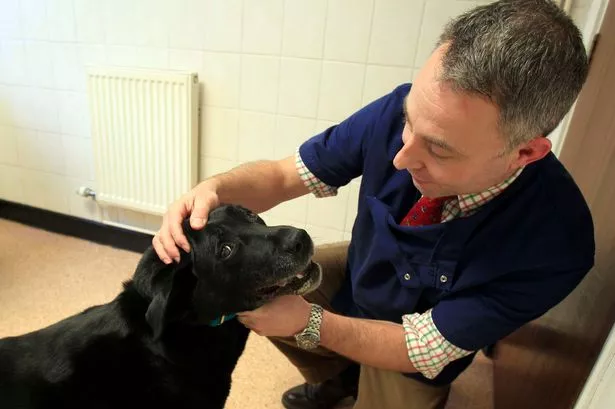 How new £1.5m animal hospital will have facilities to rival a human hospital