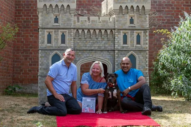 Mirfield's lottery winner donates luxury £5k pooch palace to dogs home
