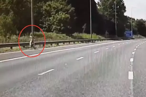 Idiotic dog walker gives cops a wave as he takes a stroll on the M62